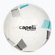 Capelli Tribeca Metro Team футбол AGE-5884 размер 5