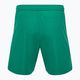 Capelli Sport Cs One Adult Match зелено/бяло детски футболни шорти 2