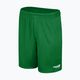 Capelli Sport Cs One Adult Match зелено/бяло детски футболни шорти 4