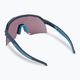 Слънчеви очила DYNAFIT Ultra Revo blueberry/storm blue 08-0000049913 2