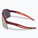Слънчеви очила DYNAFIT Ultra Revo в цвят бордо/горещ корал 08-0000049913 4