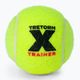 Топки за тенис Tretorn X-Trainer 72 бр. жълти 3T44 474235 2