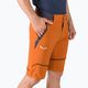 Мъжки софтшел панталони Salewa Pedroc DST orange 00-0000026957 5