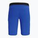 Мъжки къси панталони за туризъм Salewa Agner Light blue 00-0000027380 5