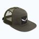 Salewa Pure Salamander Лого бейзболна шапка зелена 00-0000028286