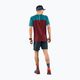 Мъжка тениска за бягане DYNAFIT Alpine Pro, цвят бордо 08-0000070964 2