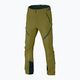Мъжки панталони за ски-туризъм DYNAFIT Mercury 2 DST green 08-0000070743 7