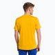 Мъжка тениска за трекинг Puez Hybrid 2 Dry yellow 27397 3