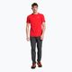 Мъжка тениска за трекинг Salewa Pedroc Dry Hyb червена 00-0000028583 2