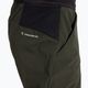 Мъжки панталони за трекинг Salewa Pedroc 2 DST Light green 00-0000028597 4