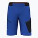 Мъжки къси панталони за трекинг Salewa Pedroc 3 DST Cargo морско синьо 00-0000028601 4