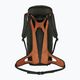 Salewa Alp Mate 26 l green 00-0000001272 раница за трекинг 6