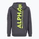 Alpha Industries мъжки суитшърт Back Print Zip vintage сив 2