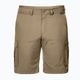 Мъжки къси панталони за трекинг Jack Wolfskin Canyon Cargo brown 1504201_5605 5