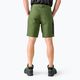 Мъжки къси панталони за трекинг Jack Wolfskin Active Track green 1503791_4129 3