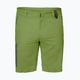 Мъжки къси панталони за трекинг Jack Wolfskin Active Track green 1503791_4129 5