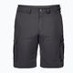 Мъжки къси панталони за трекинг Jack Wolfskin Canyon Cargo grey 1504201_6168 5