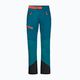 Мъжки ски панталони Alpspitze в синьо-зелено Jack Wolfskin 1507511 5