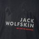 Мъжка тениска Jack Wolfskin Hiking Graphic сива 1808761_6230 6