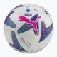 PUMA Orbit Serie A FIFA Quality Pro Football 083999 01 размер 5 4