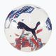 PUMA Orbit 6 FanwearCapsule MS футбол puma white/puma team royal/puma red размер 5 4