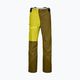 Мъжки ски панталони Ortovox 3L Ortler зелен 7071800006 5