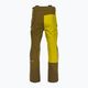 Мъжки ски панталони Ortovox 3L Ortler зелен 7071800006 2