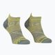 Мъжки чорапи за трекинг ORTOVOX Alpine Light Low red 5489000008