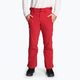 Мъжки ски панталони Descente Swiss electric red 3