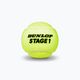 Детски топки за тенис Dunlop Stage 1 3 бр. зелени 601338 3