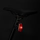 Комплект лампи за велосипед Cateye Ampp 100 Hl-El041Rc / Viz100 Tl-Ld800B 8900010 6