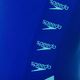 Дамски бански Speedo Boom Logo Splice Muscleback G008 blue 12900G008 9