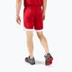 Мъжки къси панталони за тренировка Mizuno Premium Handball red X2FB9A0262 3