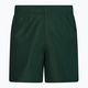 Мъжки къси панталони за плуване Nike Essential 5" Volley green NESSA560-303
