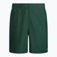 Мъжки бански шорти Nike Essential 7 Green NESSA559