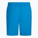 Мъжки къси панталони за плуване Nike Essential 5" Volley, сини NESSA560-406 2