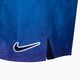 Мъжки къси панталони за плуване Nike Jdi Fade 5" Volley лилаво NESSC479-593 4