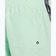 Мъжки бански шорти Nike Logo Tape 5" Volley vapor green 6