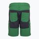 Детски къси панталони за трекинг LEGO Lwpayton 300 green 11010121 2