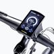 Ecobike MX300 LG електрически велосипед черен 1010307 11