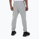 Мъжки панталони Pitbull West Coast Track Pants Athletic grey/melange 3