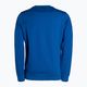 Мъжки суитшърт Pitbull West Coast Tanbark Crewneck Sweatshirt royal blue 10