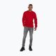 Мъжки суитшърт Pitbull West Coast Tanbark Crewneck Sweatshirt red 2