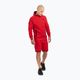 Мъжки суитшърт Pitbull West Coast Skylark Hooded Sweatshirt red 2