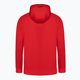 Мъжки суитшърт Pitbull West Coast Skylark Hooded Sweatshirt red 10