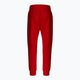 Мъжки панталони Pitbull West Coast Pants Alcorn red 8