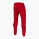 Pitbull West Coast мъжки панталони New Hilltop Jogging червен 4