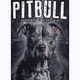 Мъжки суитшърт Pitbull West Coast с качулка Street King black 5