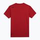Мъжка тренировъчна тениска 4F червена 4FSS23TFTSM260-62M 2