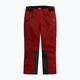 Мъжки ски панталони 4F M343 тъмночервени 8